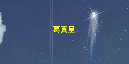 葛真呈 葛真呈