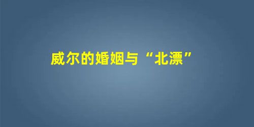 威尔的婚姻与“北漂” 威尔的婚姻与“北漂”