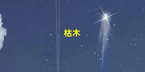 枯木 枯木
