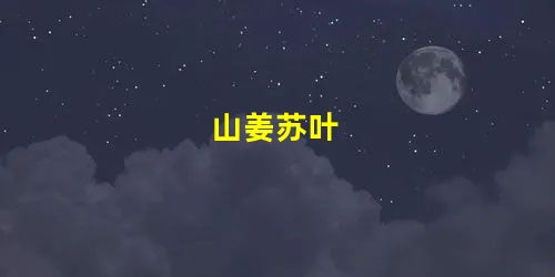 山姜苏叶 山姜苏叶