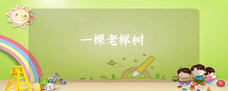 一棵老榉树 一棵老榉树