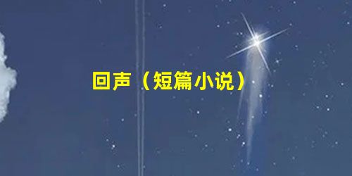 回声(短篇小说) 回声(短篇小说)
