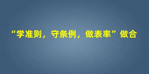 “学准则,守条例,做表率”做合格纪检监察干部 “学准则,守条例,做表率”做合格纪检监察干部