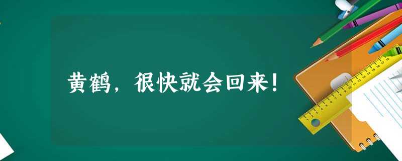 黄鹤,很快就会回来! 黄鹤,很快就会回来!