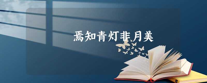 焉知青灯非月美 焉知青灯非月美