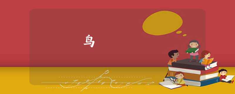 鸟 鸟