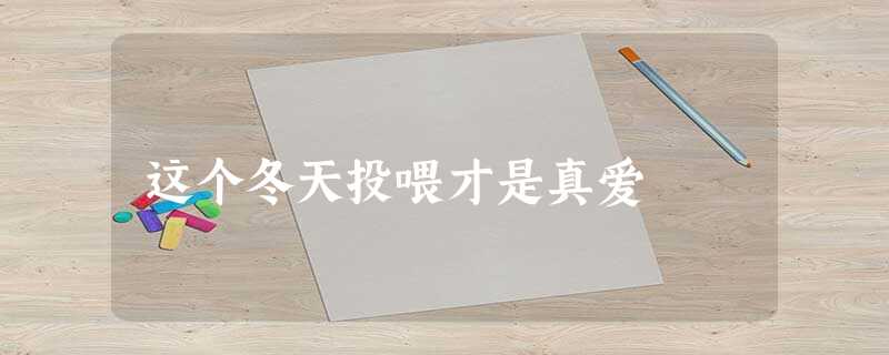 这个冬天投喂才是真爱 这个冬天投喂才是真爱