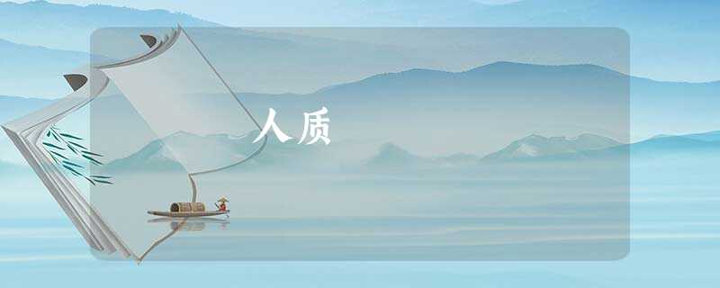 人质 人质