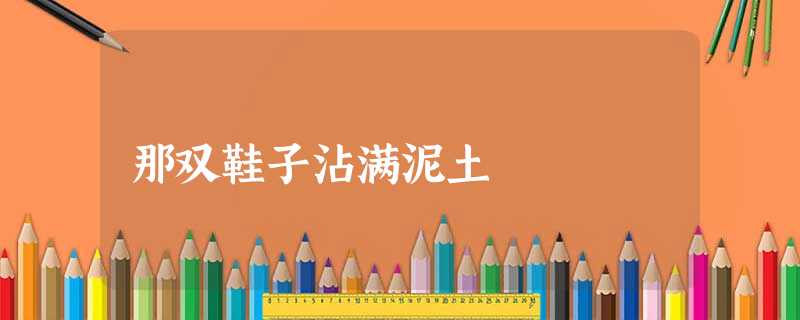 那双鞋子沾满泥土 那双鞋子沾满泥土