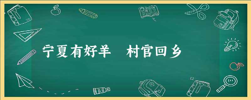 宁夏有好羊 村官回乡 宁夏有好羊 村官回乡