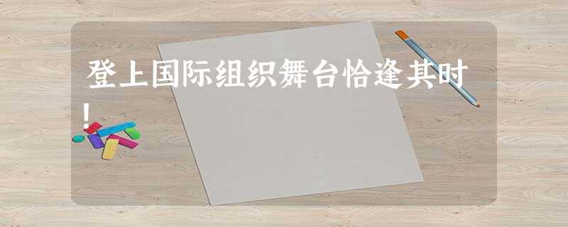 登上国际组织舞台恰逢其时! 登上国际组织舞台恰逢其时!