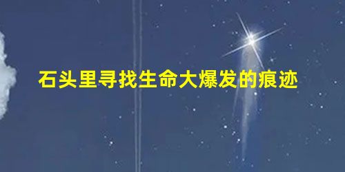 石头里寻找生命大爆发的痕迹 石头里寻找生命大爆发的痕迹