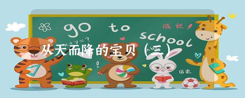 从天而降的宝贝(三) 从天而降的宝贝(三)