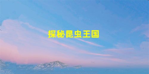 探秘昆虫王国 探秘昆虫王国