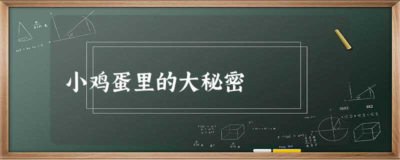 小鸡蛋里的大秘密 小鸡蛋里的大秘密