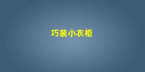 巧装小衣柜 巧装小衣柜