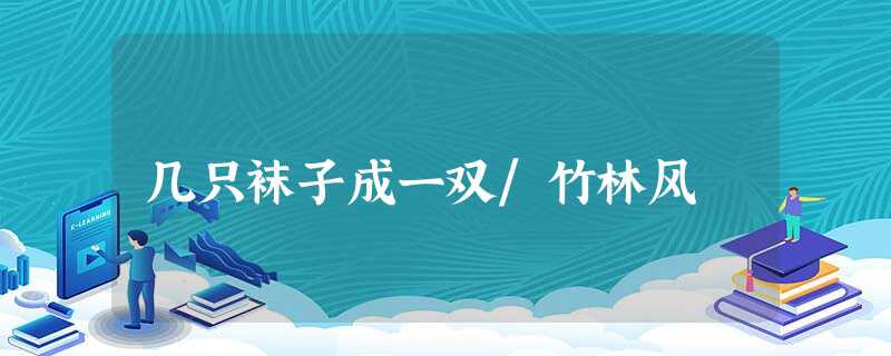 几只袜子成一双/竹林风 几只袜子成一双/竹林风