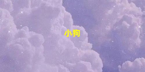 小狗 小狗