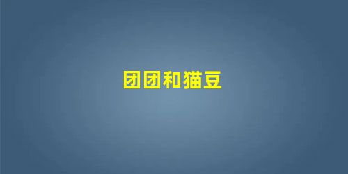 团团和猫豆 团团和猫豆