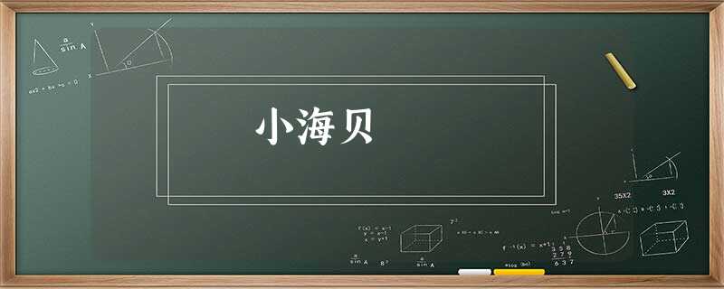 小海贝 小海贝