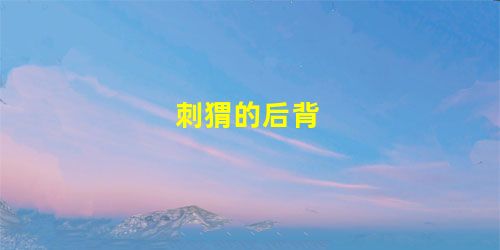 刺猬的后背 刺猬的后背