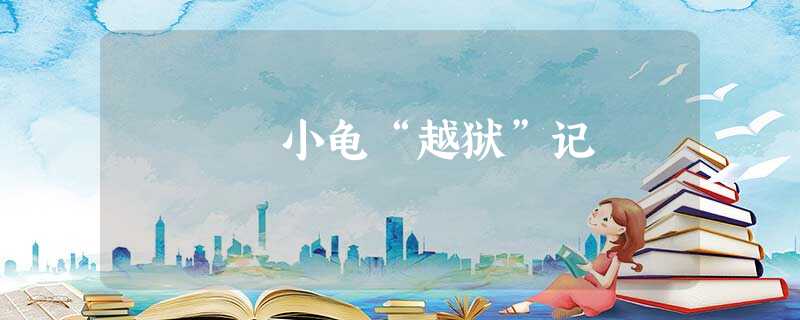 小龟“越狱”记 小龟“越狱”记