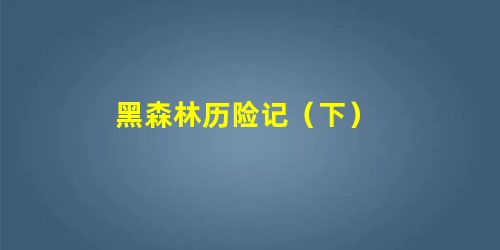 黑森林历险记(下) 黑森林历险记(下)