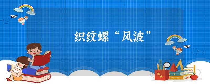 织纹螺“风波” 织纹螺“风波”