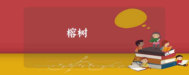 榕树 榕树