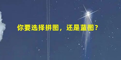 你要选择拼图,还是蓝图? 你要选择拼图,还是蓝图?