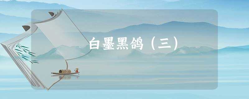 白墨黑鸽(三) 白墨黑鸽(三)