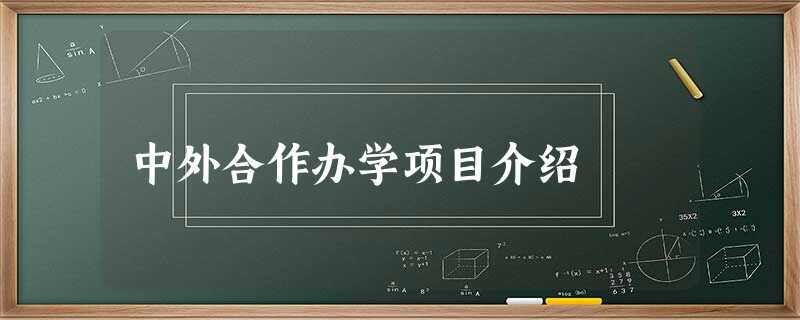 中外合作办学项目介绍 中外合作办学项目介绍