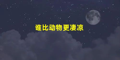 谁比动物更凄凉 谁比动物更凄凉