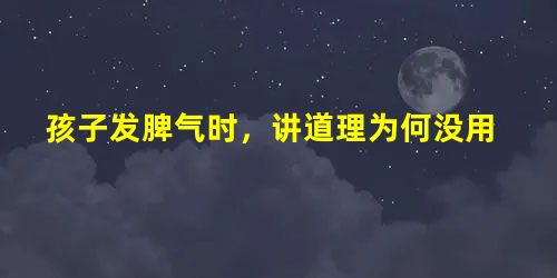 孩子发脾气时,讲道理为何没用 孩子发脾气时,讲道理为何没用