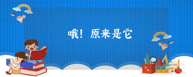 哦!原来是它 哦!原来是它