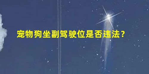 宠物狗坐副驾驶位是否违法? 宠物狗坐副驾驶位是否违法?