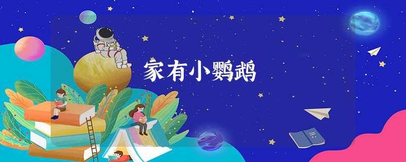 家有小鹦鹉 家有小鹦鹉