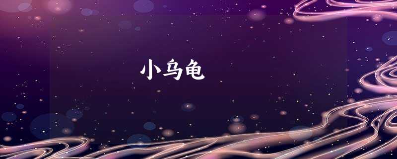 小乌龟 小乌龟