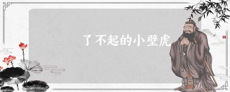 了不起的小壁虎 了不起的小壁虎
