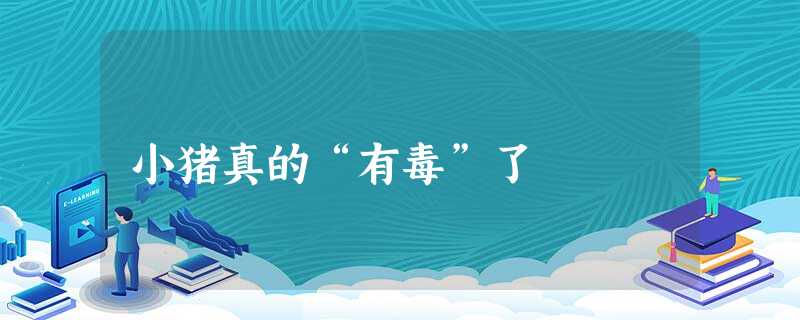 小猪真的“有毒”了 小猪真的“有毒”了