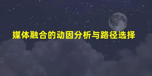 媒体融合的动因分析与路径选择 媒体融合的动因分析与路径选择