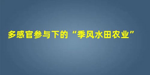多感官参与下的“季风水田农业”教学设计 多感官参与下的“季风水田农业”教学设计