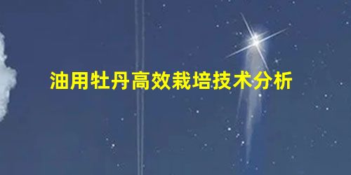 油用牡丹高效栽培技术分析 油用牡丹高效栽培技术分析