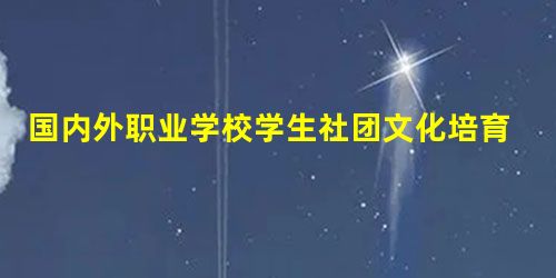 国内外职业学校学生社团文化培育的研究现状综述 国内外职业学校学生社团文化培育的研究现状综述
