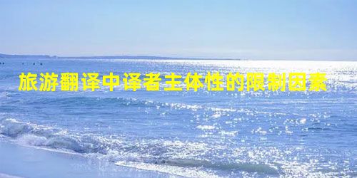 旅游翻译中译者主体性的限制因素研究 旅游翻译中译者主体性的限制因素研究