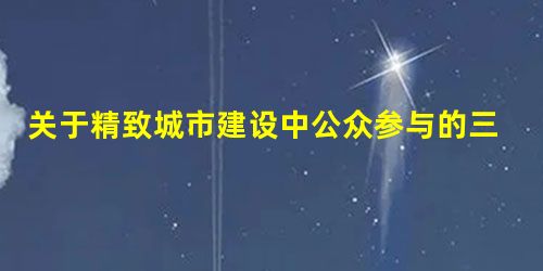 关于精致城市建设中公众参与的三点思考 关于精致城市建设中公众参与的三点思考