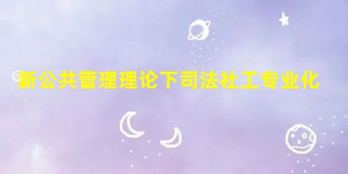 新公共管理理论下司法社工专业化建设路径分析 新公共管理理论下司法社工专业化建设路径分析