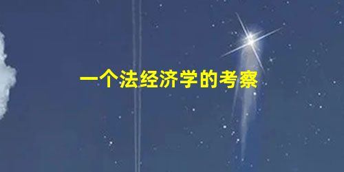一个法经济学的考察 一个法经济学的考察