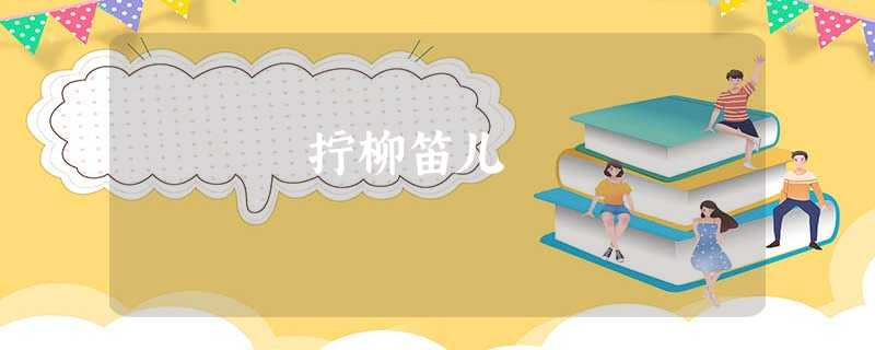 拧柳笛儿 拧柳笛儿