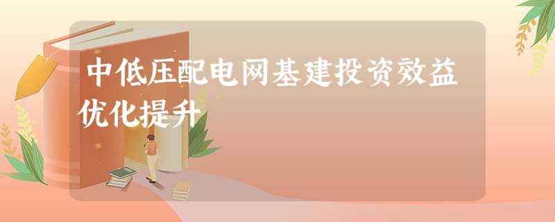中低压配电网基建投资效益优化提升 中低压配电网基建投资效益优化提升